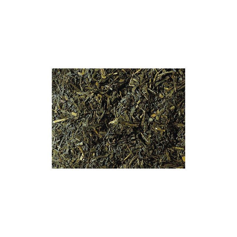 Grüner Tee China k.b.A. Sencha Premium (Gyokuro Type) Bio